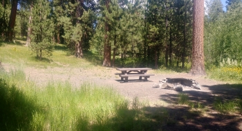 A campground on the NE shore