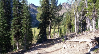 The trail as it enters Burger Meadow if you come from Burger Pass.