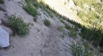 Trail surface does have a decent bench to it in the sand. 