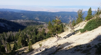 View south at Sand Pass, looking into the Sand Pass Creek drainage.