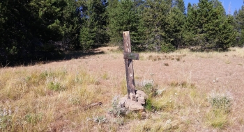 Trail junction in the meadow with Mule Peak Trail.