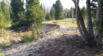 Washout from the run-off with the trail to the right of it, just below Sand Pass.