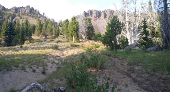 A look up toward Sand Pass from the south side. The terrain is pretty wide open but the trail is loose and hard to follow.