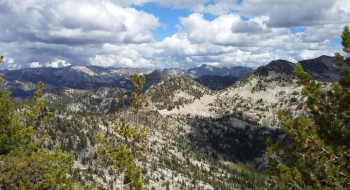 View of the Eagle Caps from Mule Peak.