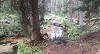 South Fork Catherine Creek