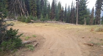 Looking back after you round the bend in the road where the trail starts. It will be on the right of the picture. 