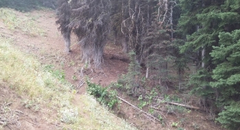 Trail sidehills out into an opening. 