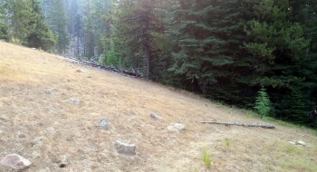 The trail in this picture is the Sand Pass Trail, where the Flagstaff Trail comes into it from the left top side of the picture. 