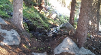 The trail crosses the water from the spring, a few switchbacks before you get to the spring.