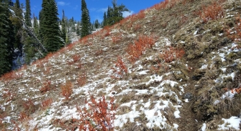 Trail dropping down above Little Boulder Creek. 