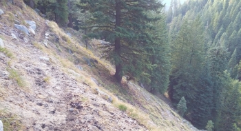 Steep sidehill action in the middle part of the trail between Main Eagle and the top. 