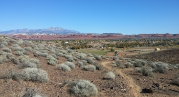 Near the start of Barrel Roll