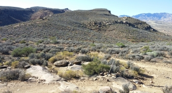 This is what the trail works with. This is what the trail works with.
