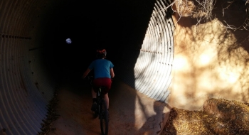 Entering the storm drain.