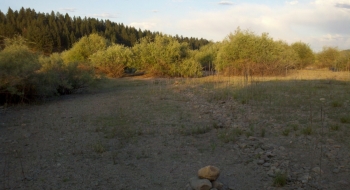 Overgrown and rocky low-lying section at the west end of the lake