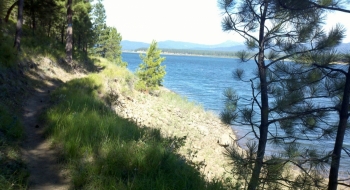 Trail on the south shore