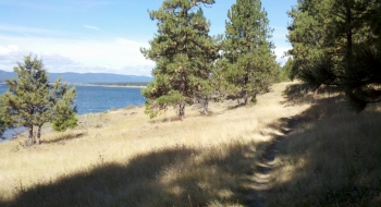 Trail on the north shore