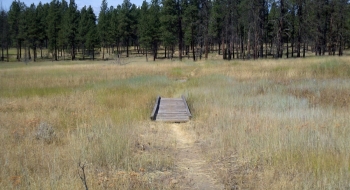 Several bridges cover inlets. 