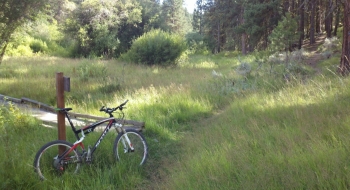 The junction with the Rimrock Trail (Right) from the Shoreline Trail (Left), on the west end.