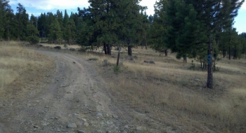 A junction onto the rougher road, well marked by blue diamonds. 