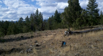 High above, on a rim of rocks.