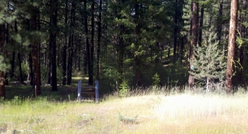 A fence crossing under the power lines at the Southeast section of the loop.