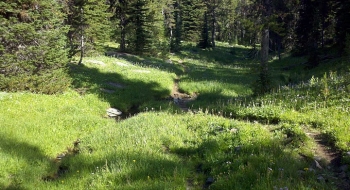 On the way up you pass the beginning of the Indian Creek Trail.
