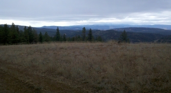 The view from Long Ridge