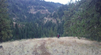 Heading into the hole. 