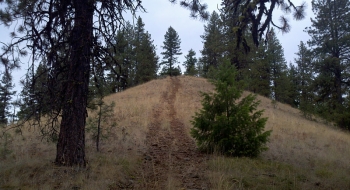 Rocky descent down the ridge. 