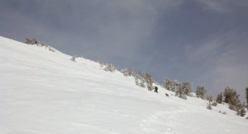 Wing Ridge