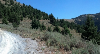 Marble pass comes into view as the low spot on the horizon.