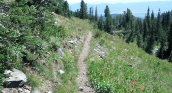 The trail getting good below the lakes.