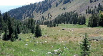 The good stuff, as the trail descends through the meadow below Twin Lakes.