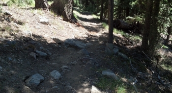 Periodic challenges on the trail below treeline.