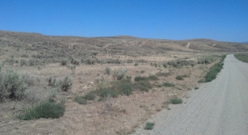 View from Ruckles Creek Road, just down the road from the parking area.