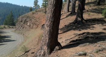 A close look at the road from the trail. Now the good stuff starts. 