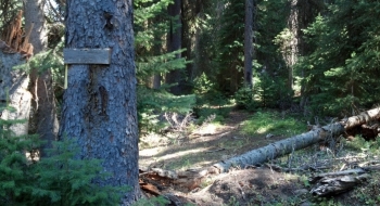 The trail entrance (or exit) at the lake is marked with an old trail sign that says 