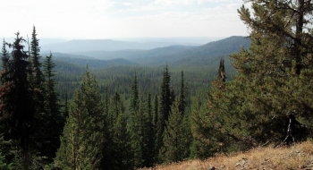 View from west from Marion Point