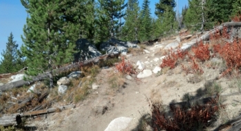 The Crawfish Lake Trail gets edgy from the start.