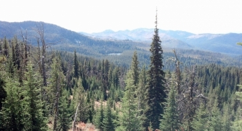 Crawfish Lake is visible in the distance when you gain the ridge.