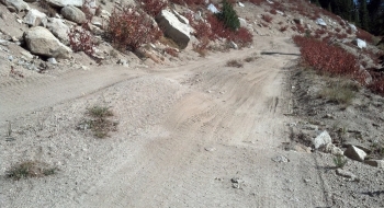 There are quite a few water bar jumps on the backside of Anthony, like Kokopeli of Moab.