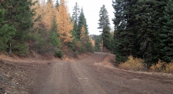 On occasion, you will start seeing glimpses of the lookout, seen here in the distance between the trees.