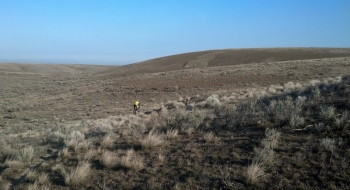 Ripping the desert.