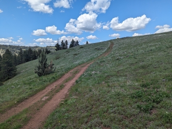 Primitive road atop Starvation Ridge about halfway point.