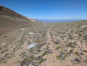 Primitive trail up higher. 