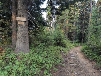 Trailhead