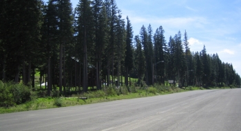 Spout Springs Ski Area, with the ride starting on the road between the ski sign and building pictured.