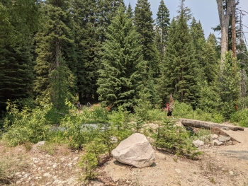 Log bridge at the start across Boulder Creek.