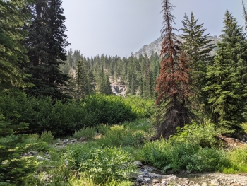 Waterfall at Bench Canyon Trail